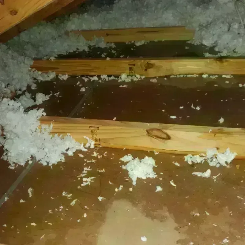 Attic Water Damage in Avilla, IN