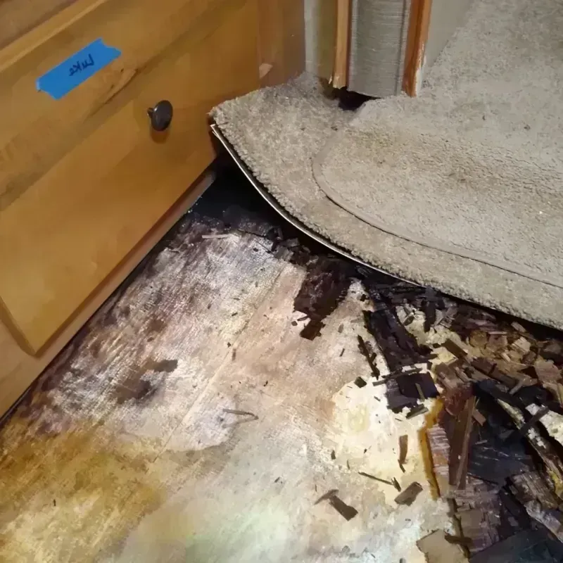 Best Wood Floor Water Damage Service in Avilla, IN